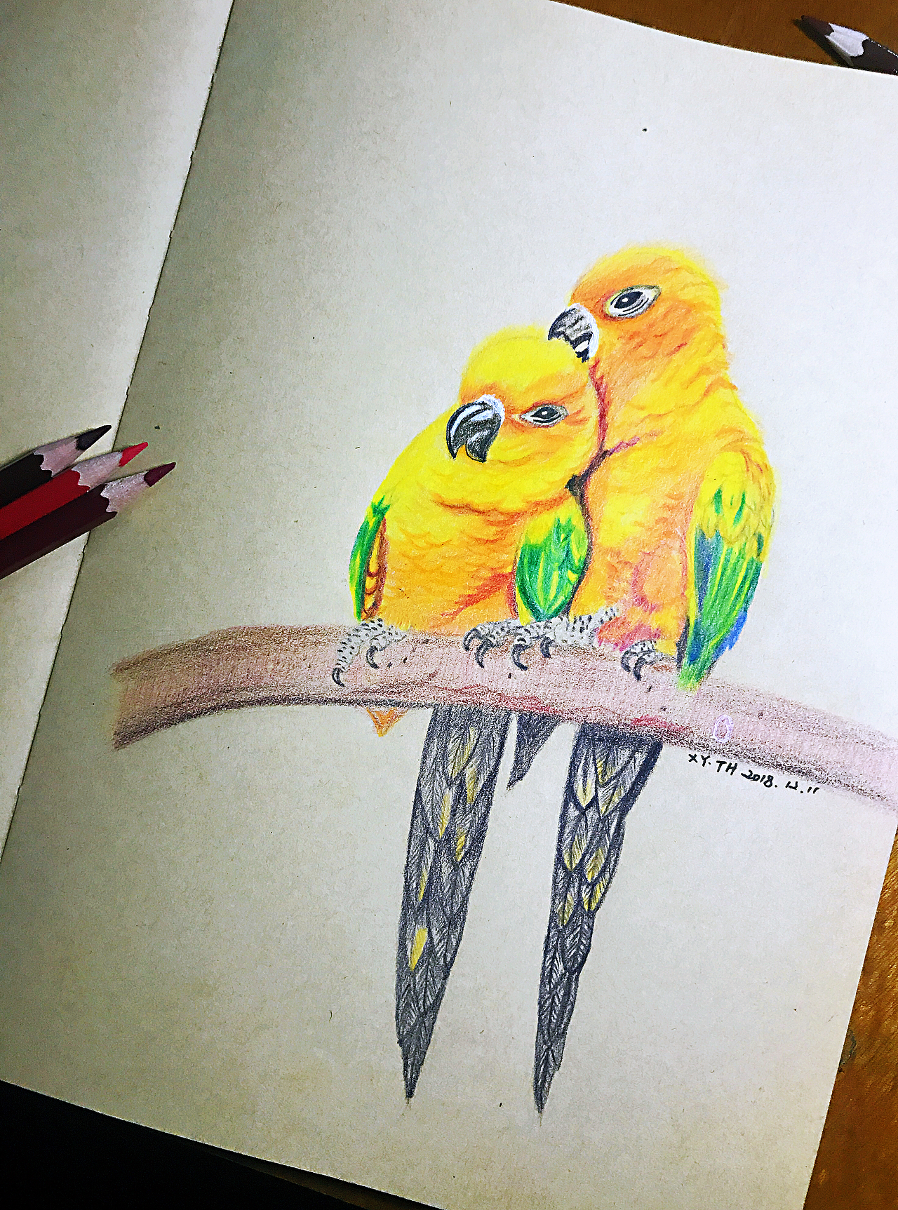 彩铅，针管笔作品【三】（图ZMTY0MDUwMTI0） - 创作习作 - 站酷设计师英子手绘插画控原创素材 - 站酷ZCOOL