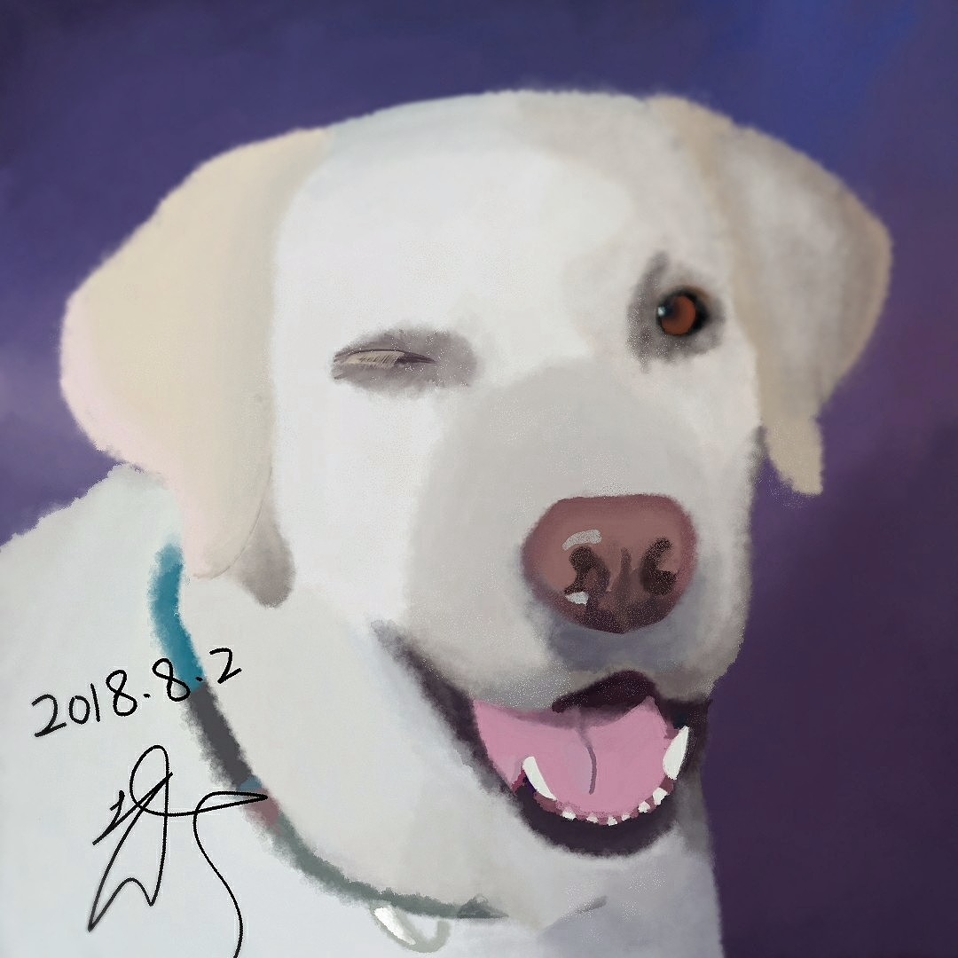 《记录我自学画画的过程》