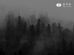 【康华祥茶叶标识设计】