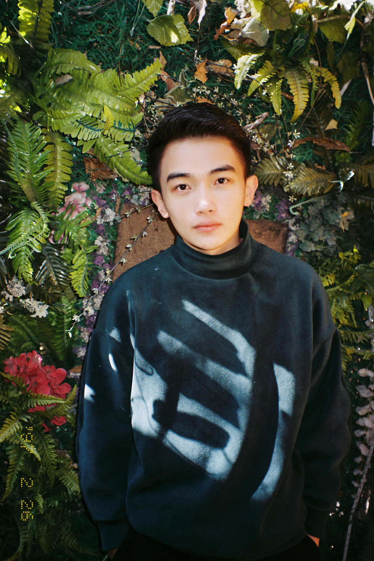 一棵树|摄影|人像|沐尧疯 - 原创作品 - 站酷 (zcool)