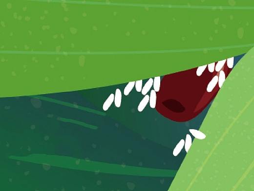 易车网端午礼品套装设计