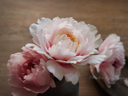 【牡丹】手工糯米纸花牡丹