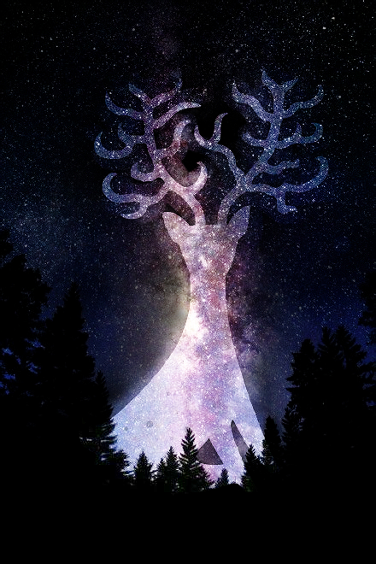 星空鹿