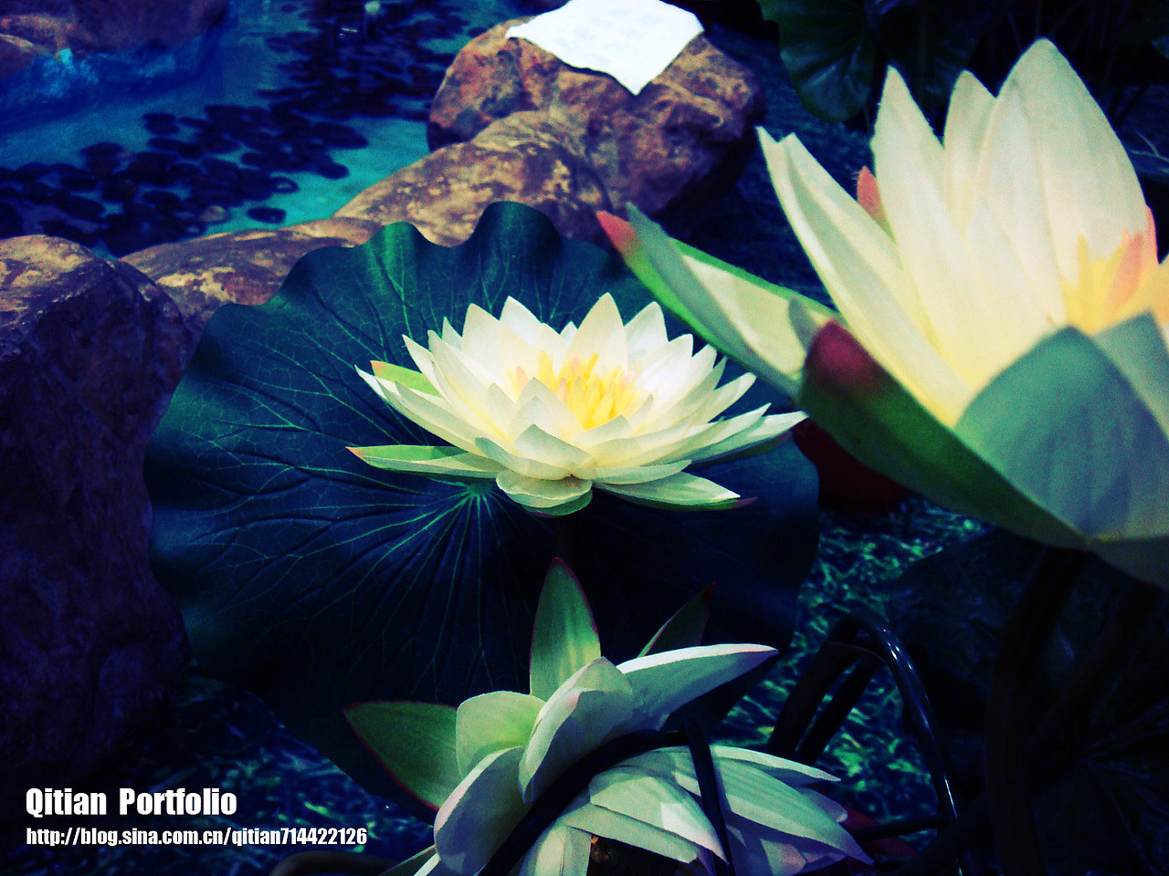 游世博（圖ZMTY5MzU3Ng==） - 風(fēng)光攝影 - 站酷設(shè)計師Gavin_xy原創(chuàng)素材 - 站酷ZCOOL