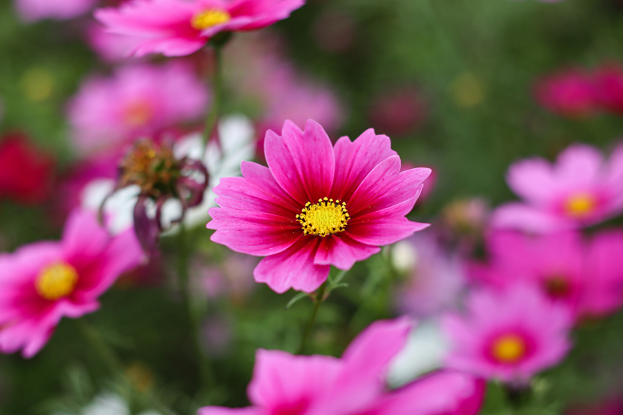 春醒（图ZMTk0Mjk1NjEy） - 产品摄影 - 站酷设计师穿鞋一米六原创素材 - 站酷ZCOOL