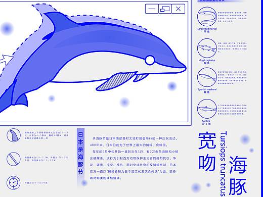 中华白海豚信息可视化