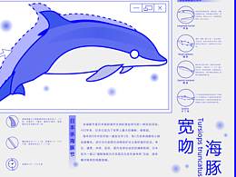海豚