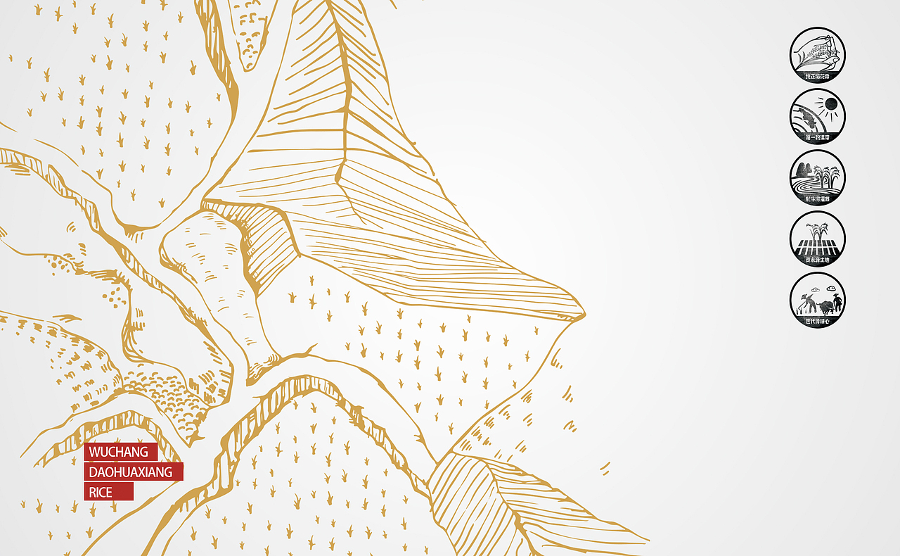 Design draft-又是大米包裝（圖ZODUwOTQwMjg=） - 包裝 - 站酷設(shè)計(jì)師zen森blue原創(chuàng)素材 - 站酷ZCOOL