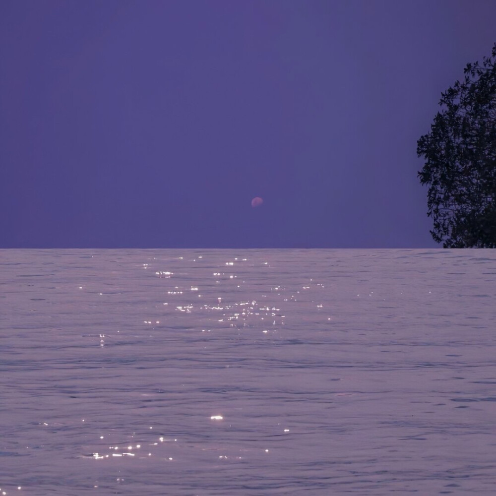 肖yl0228的个人主页（封面预览） - 主页封面设置 - 站酷设计师肖yl0228原创素材 - 站酷ZCOOL