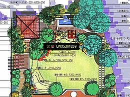 庭院