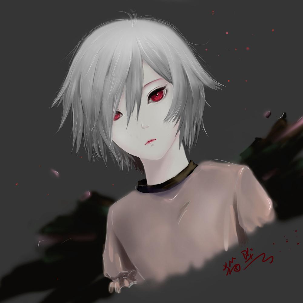 黑背白化小天使