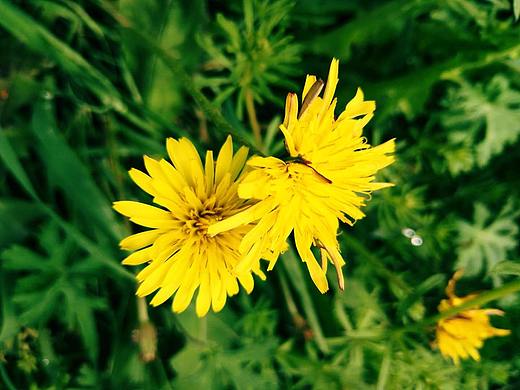 家（個人主頁-ZMjcwOTQ1ODQ=） - 風(fēng)光攝影 - 站酷設(shè)計(jì)師踢出個未來原創(chuàng)素材 - 站酷ZCOOL