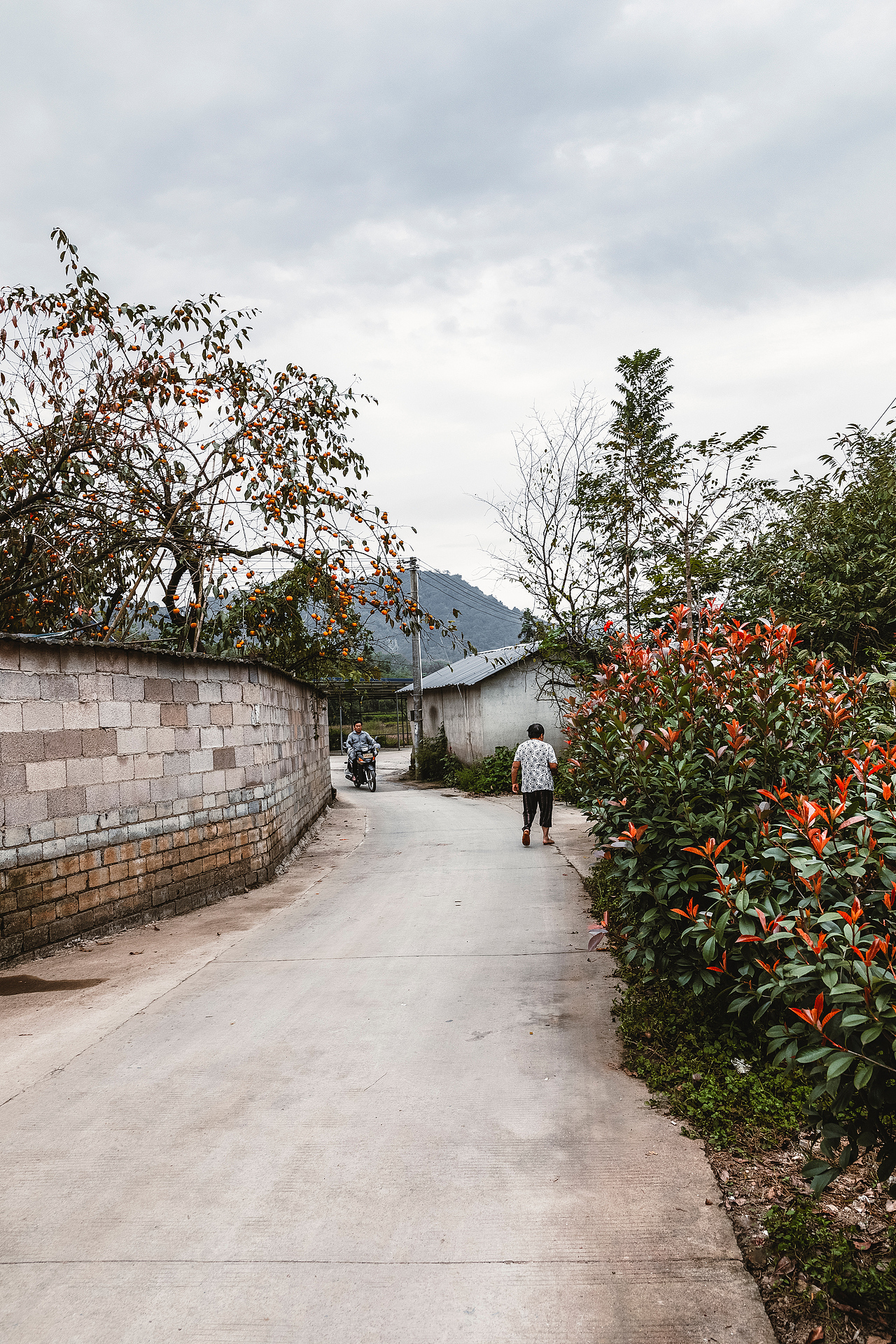 随处可见的农村场景（图ZMjI3MTIyNjY4） - 人文/纪实摄影 - 站酷设计师我有条狗叫汤圆原创素材 - 站酷ZCOOL