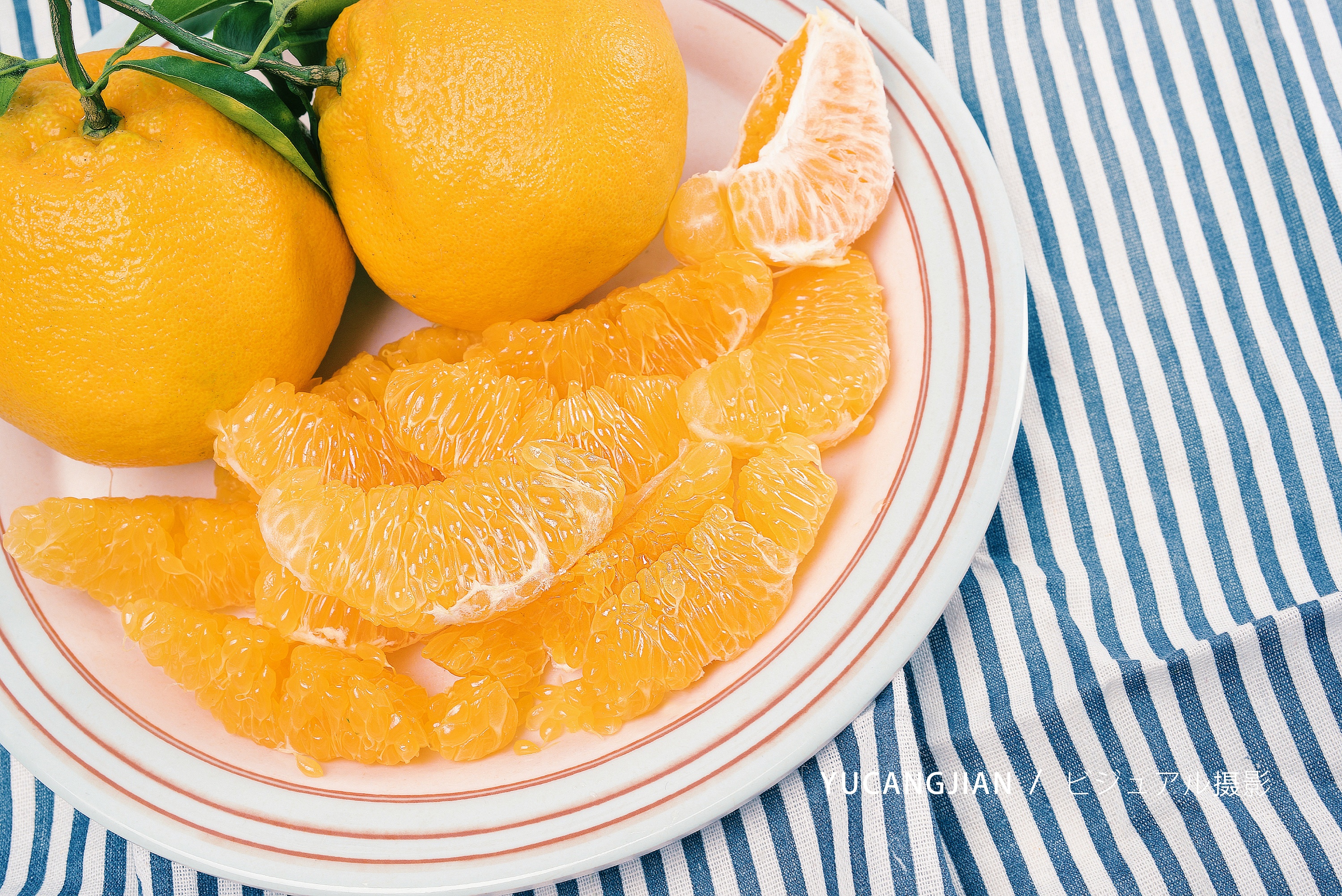 可爱的丑柑|摄影|静物|摄影师鱼儿姑娘 - 原创作品 - 站酷 (zcool)