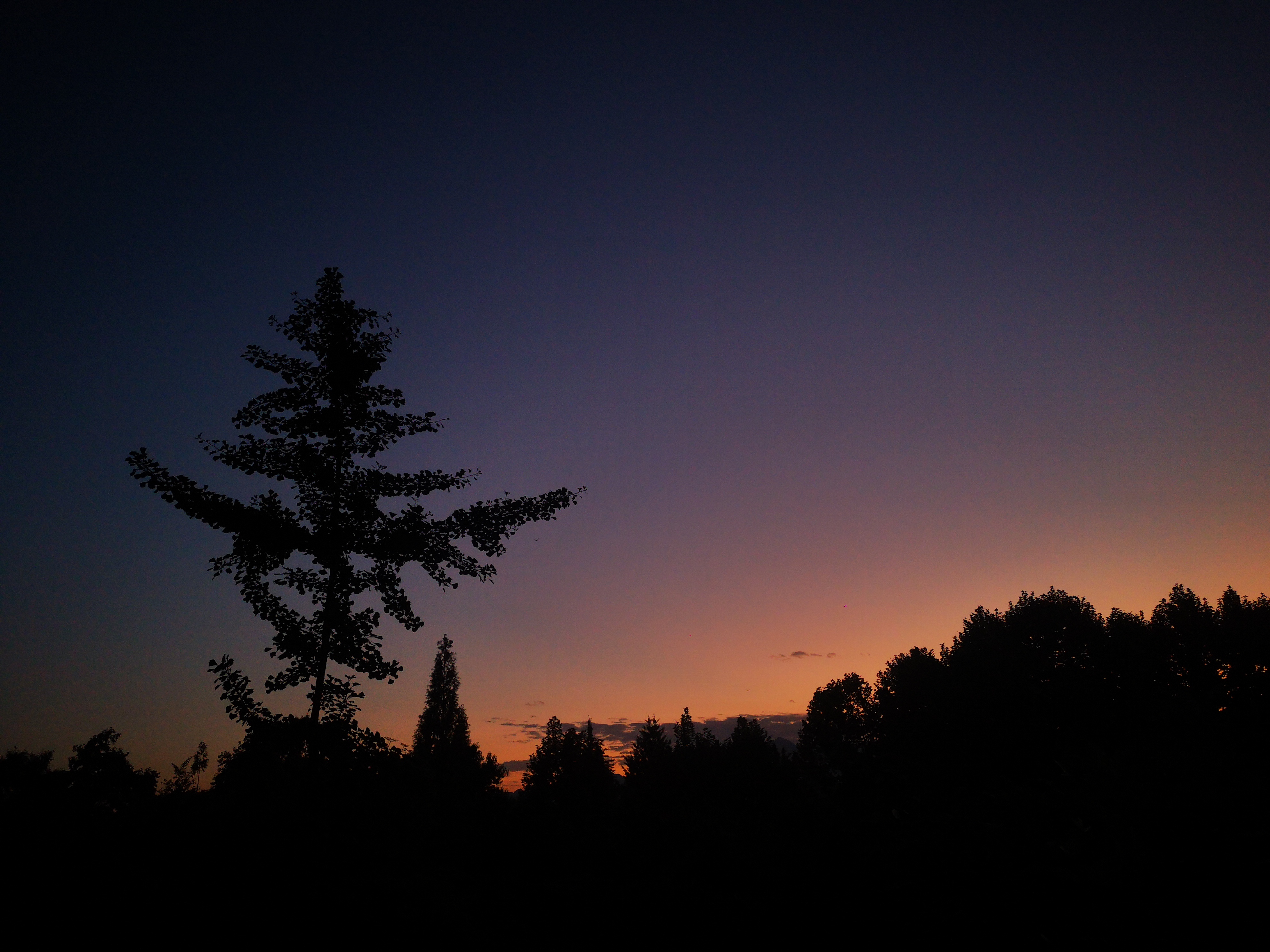 YyLit的个人主页（封面预览） - 主页封面设置 - 站酷设计师YyLit原创素材 - 站酷ZCOOL