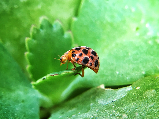 小家伙们(●ˇ∀ˇ●)（个人主页-ZMjM5Mzc4MjA=） - 风光摄影 - 站酷设计师snowlixuemei原创素材 - 站酷ZCOOL