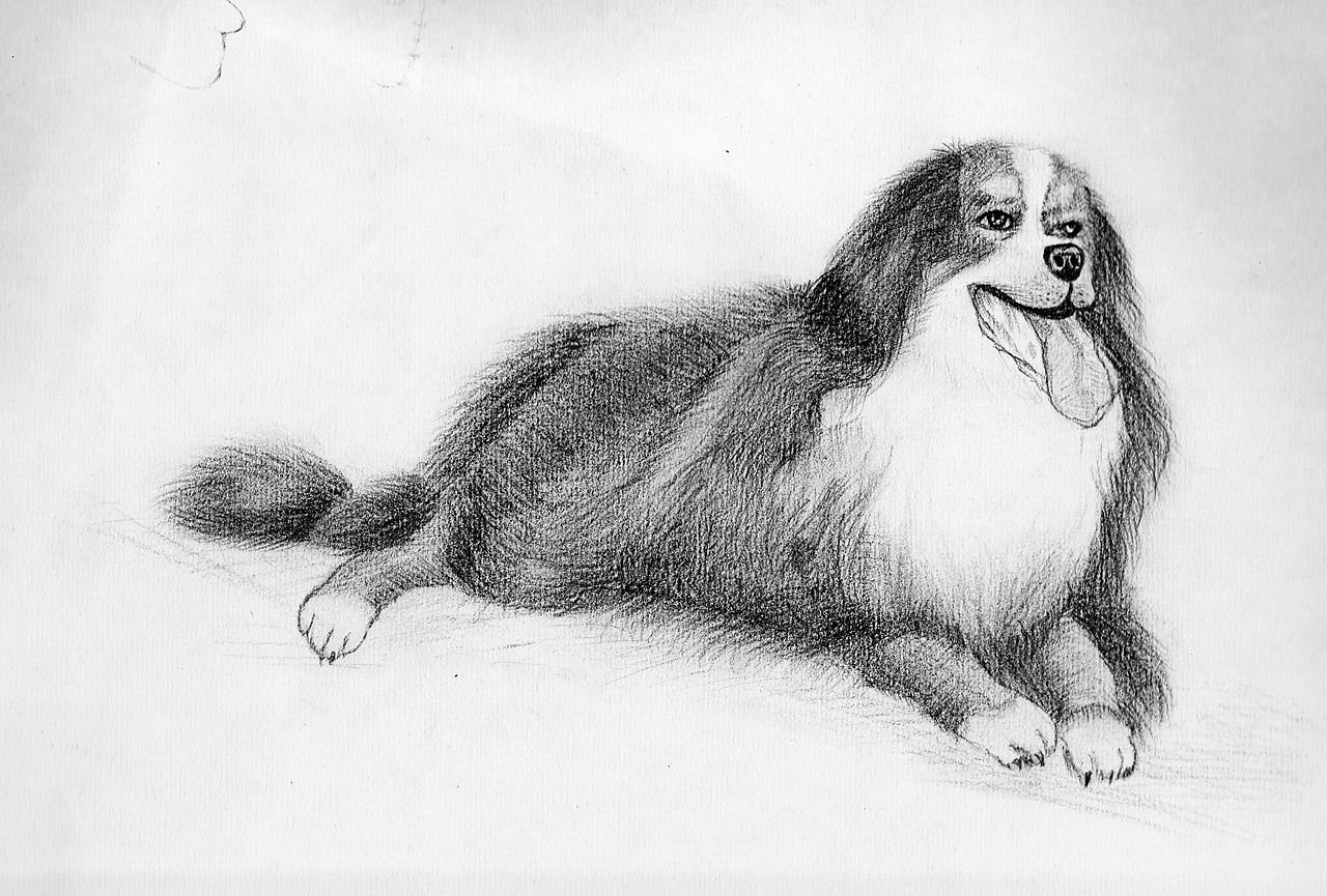 -自由-手 绘 H U A 练习（图ZMjAyNDE5OTU2） - 艺术插画 - 站酷设计师南希258原创素材 - 站酷ZCOOL