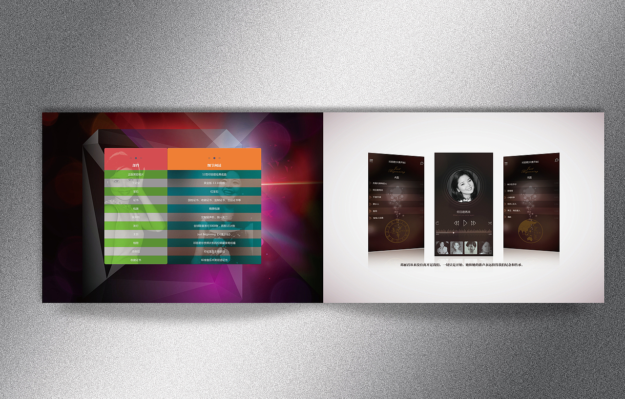 邓丽君金唱片招商画册