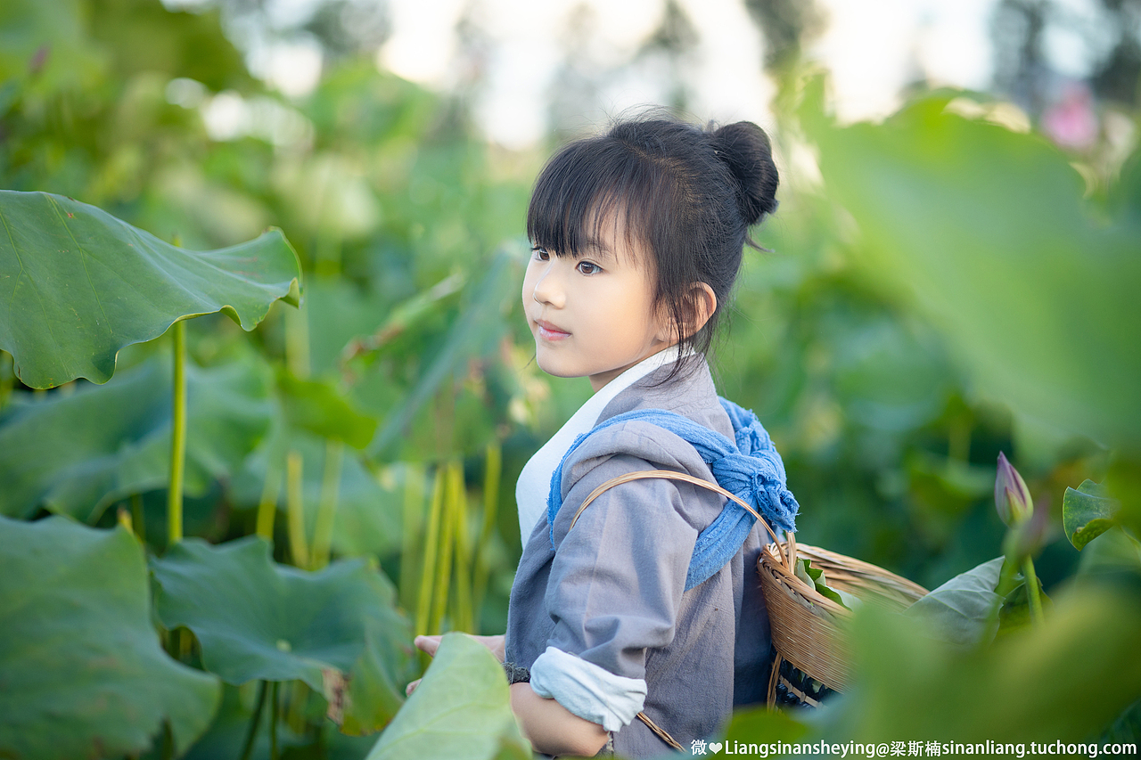 夏荷（图ZMjYyNzk3MTg4） - 人像摄影 - 站酷设计师梁斯楠原创素材 - 站酷ZCOOL