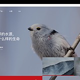奋斗的三维蚂蚁的头像