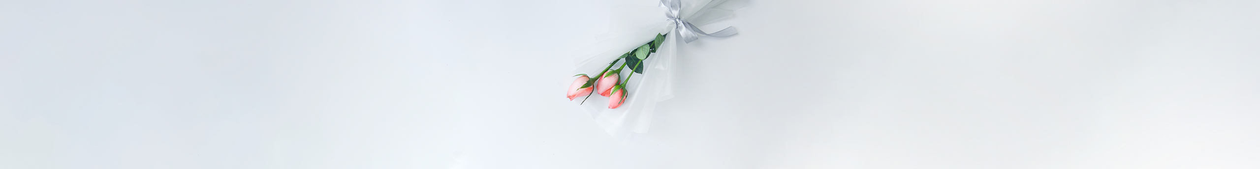 木兮411的個(gè)人主頁（封面預(yù)覽） - 主頁封面設(shè)置 - 站酷設(shè)計(jì)師木兮411原創(chuàng)素材 - 站酷ZCOOL