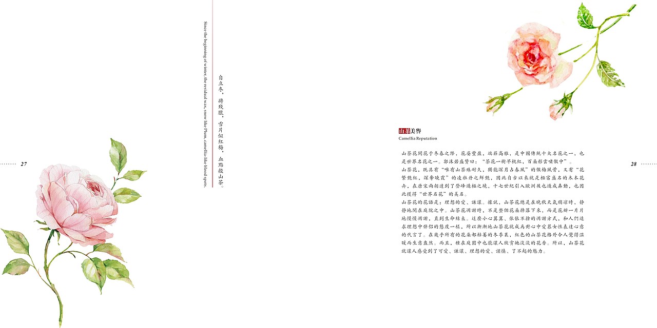 《成都植物园》 成都信息工程学院银杏酒店管理学院 邓黛薇 #青春答卷2014#