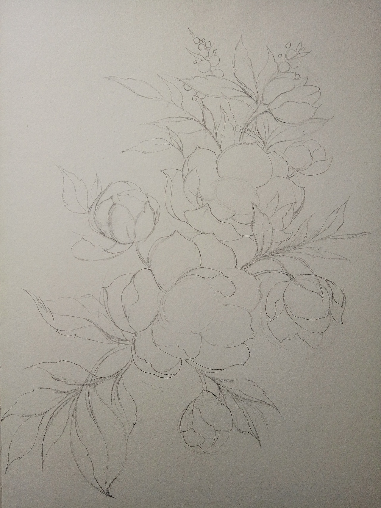 线描花朵（图ZODQ1MTgxODQ=） - 创作习作 - 站酷设计师李静夕原创素材 - 站酷ZCOOL
