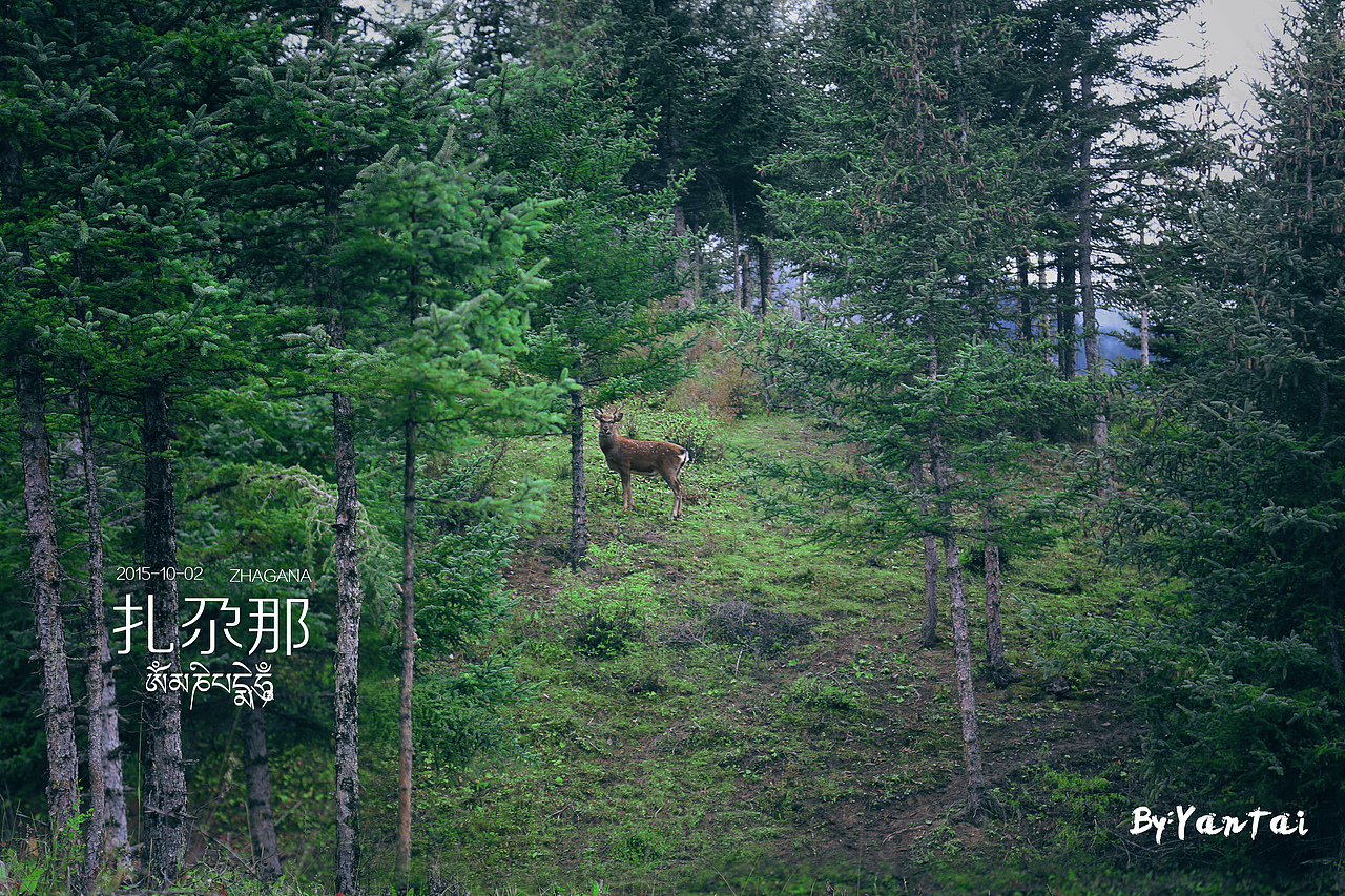西行记，陆续整理中（图ZMzg3OTcxNzY=） - 风光摄影 - 站酷设计师諺一原创素材 - 站酷ZCOOL