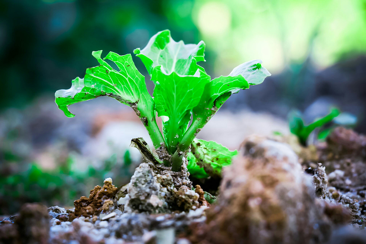 新年随手拍拍拍