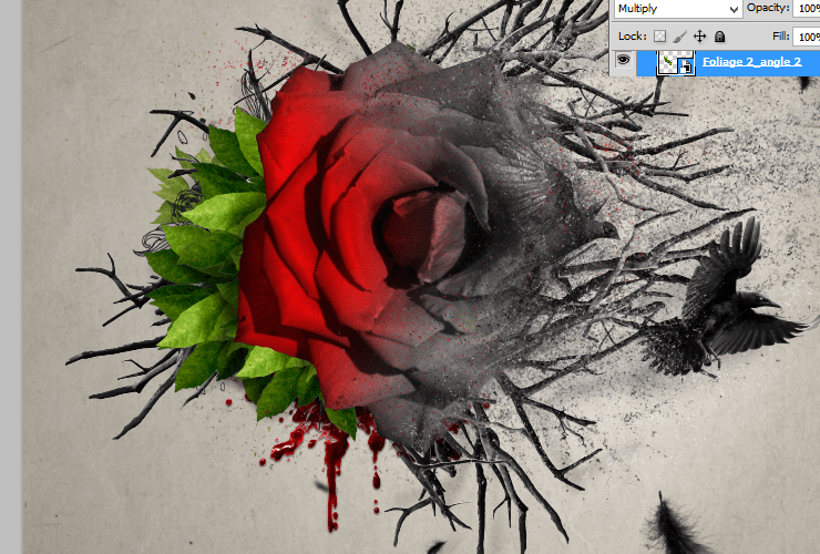 undefined undefined