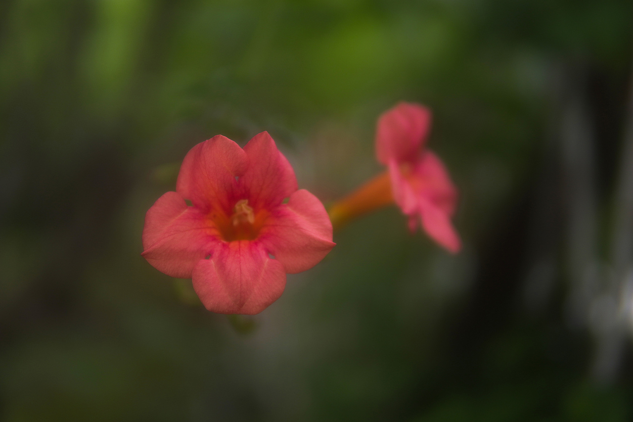 花路（图ZMjEzNjczMzY4） - 产品摄影 - 站酷设计师DAYBREAK工作室原创素材 - 站酷ZCOOL