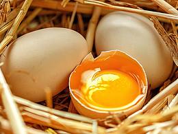 土鸡蛋农副产品拍摄