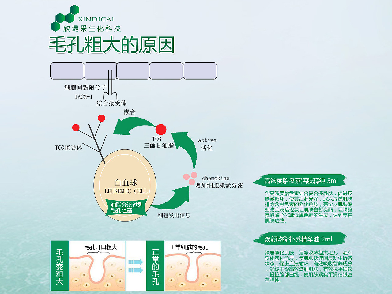 ppt（图ZNTY2MzQwNzY=） - 品牌 - 站酷设计师浪天行原创素材 - 站酷ZCOOL