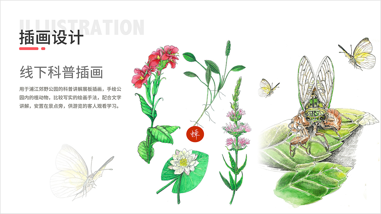 林婵 简历（图ZMjk1ODEyNjA0） - 其他平面 - 站酷设计师鸣叫的小蝉原创素材 - 站酷ZCOOL