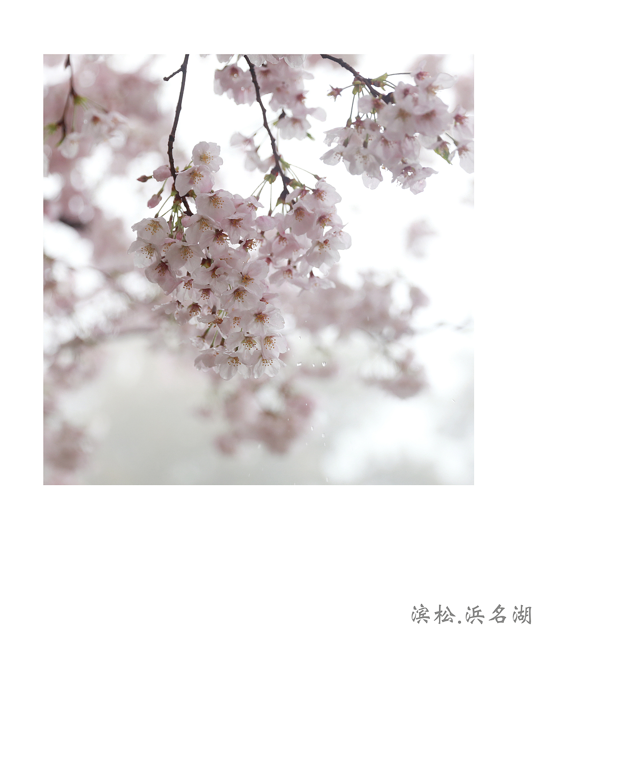 东京（图ZNzcxOTkxMjA=） - 风光摄影 - 站酷设计师设计师AKIKO原创素材 - 站酷ZCOOL