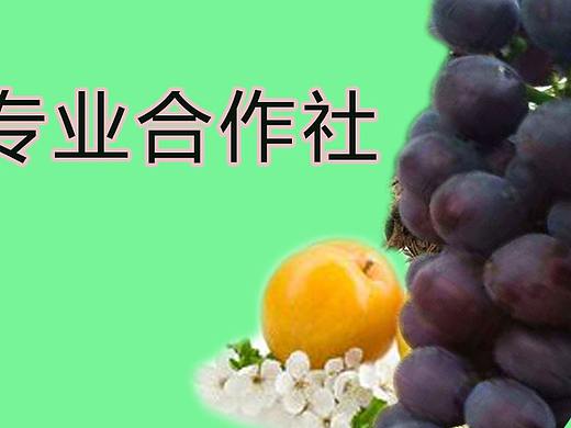 果蔬海报