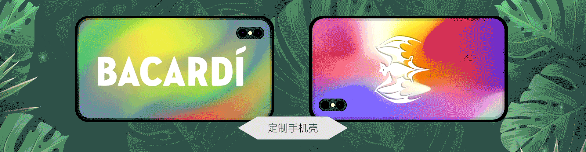 百加得视觉分享