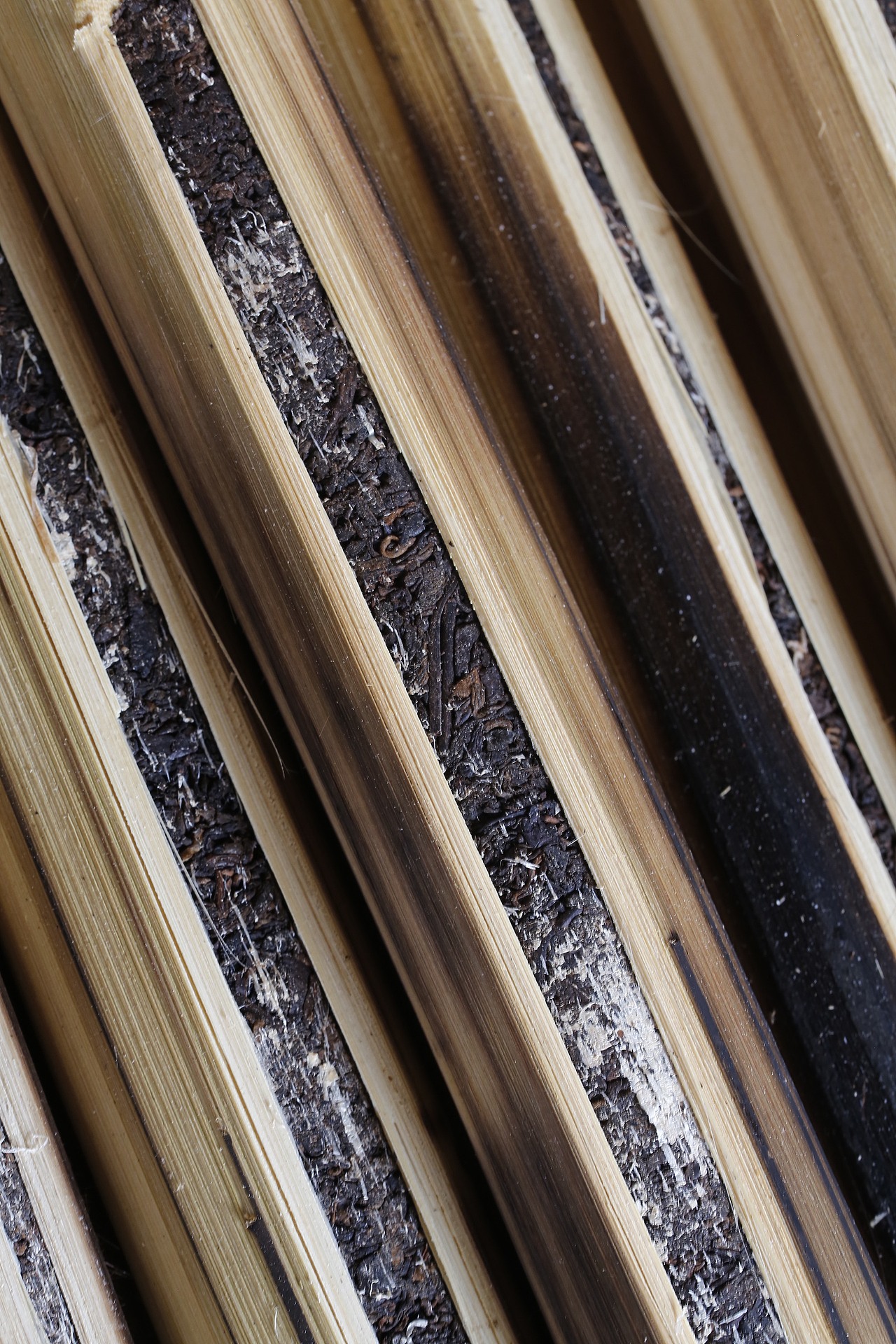 容品牌:雨林古茶坊 - 天猫店产品策划&茶包装设计