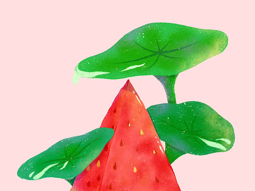 夏天🍉