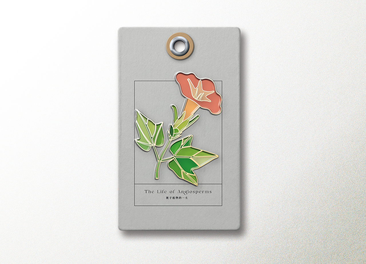 Redesign of the Biology Book 生物书再设计