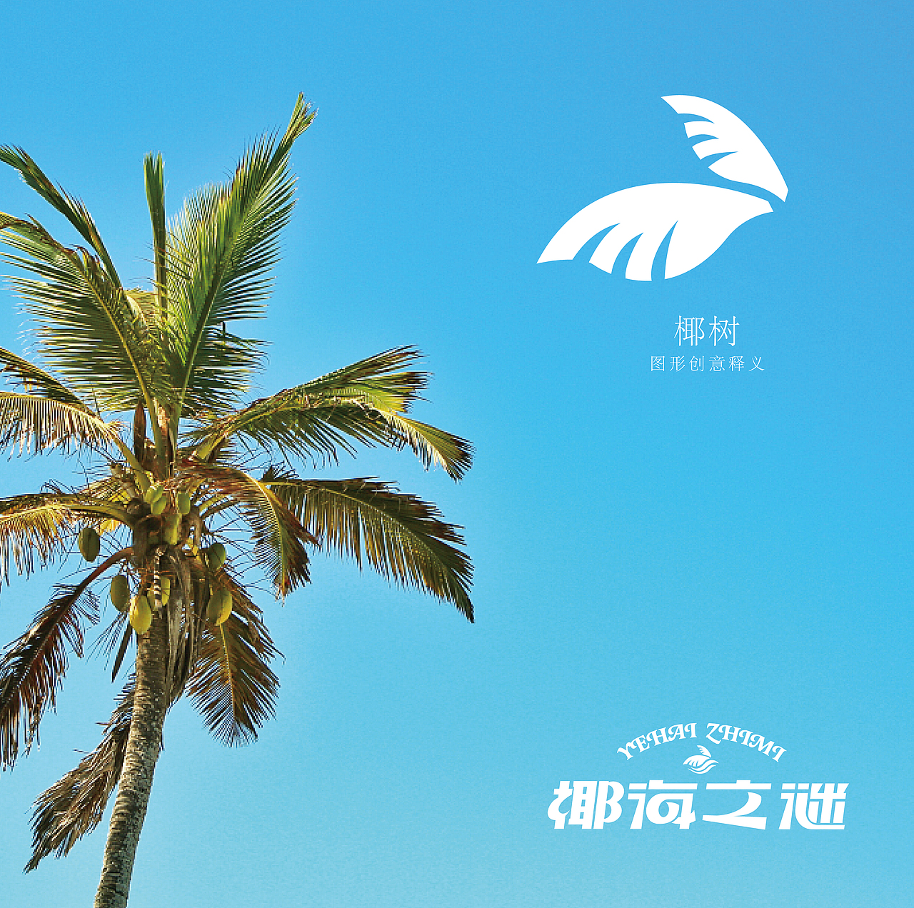 医美用品标志（图ZMzY5MDk1NTI0） - Logo - 站酷设计师雅道总监孙玉辉原创素材 - 站酷ZCOOL