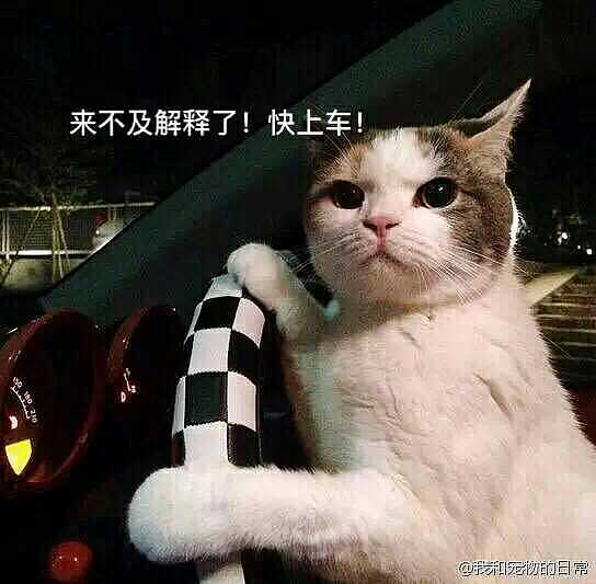 牙科手机站（图ZNjQ5OTIyMDA=） - 移动端网页 - 站酷设计师浅水愚原创素材 - 站酷ZCOOL