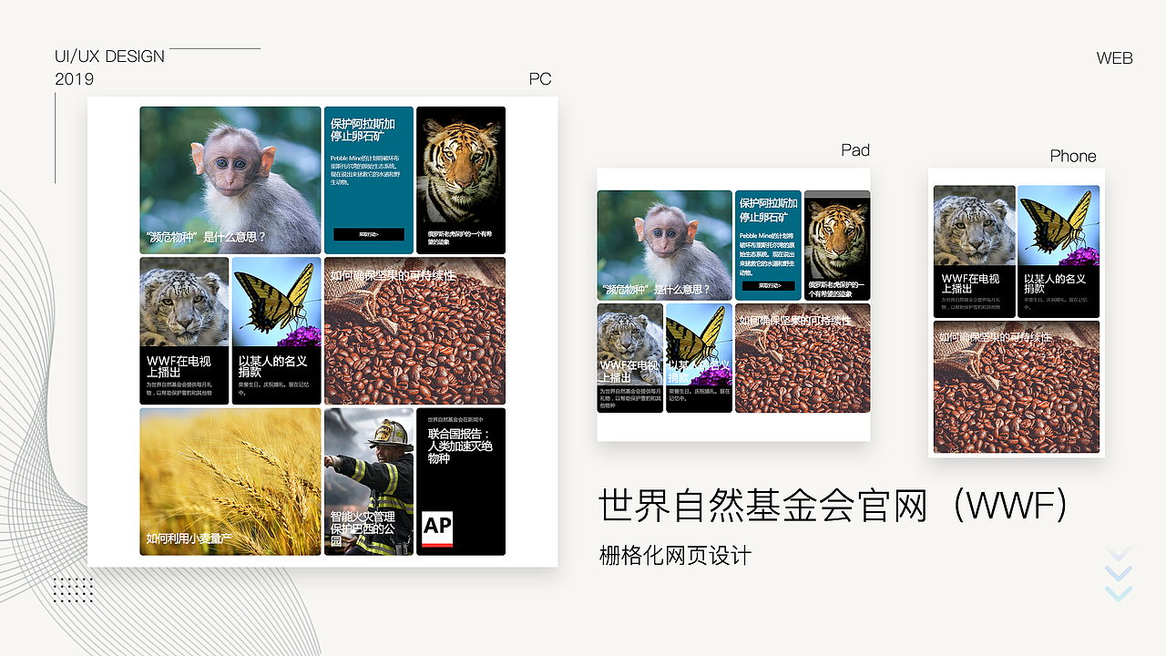 世界自然基金会官网设计