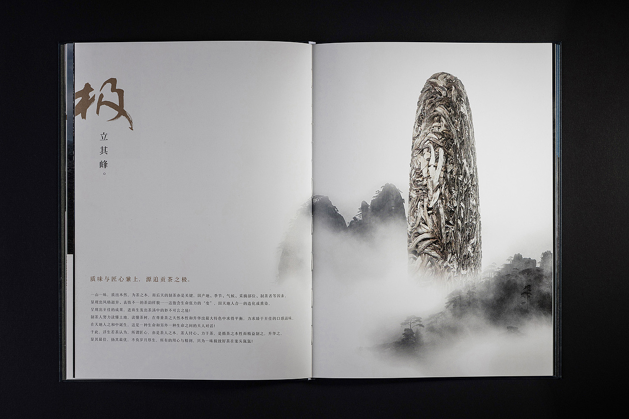 茶叶品牌画册（成品）（图ZMjc1NDg0MDA0） - 书籍/画册 - 站酷设计师竣阳视界原创素材 - 站酷ZCOOL