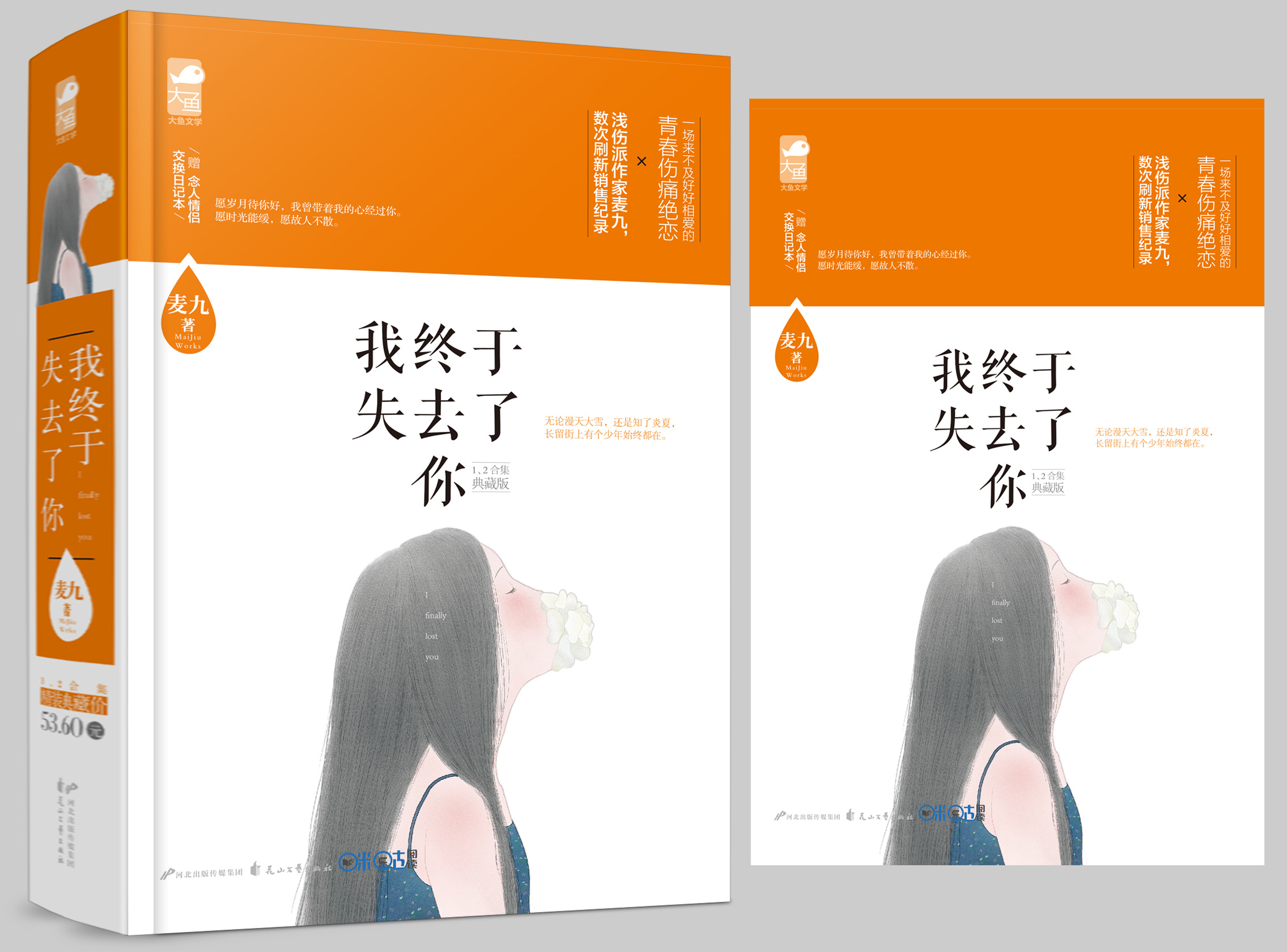 我终于失去了你典藏版