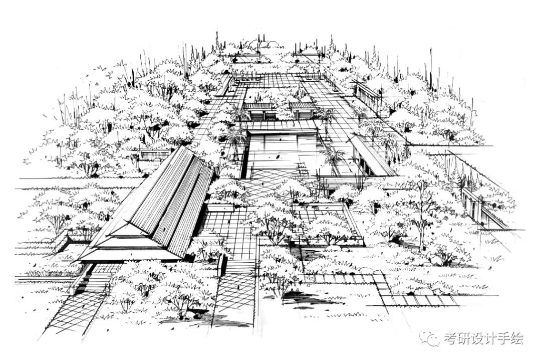 景观建规考研必藏手绘线稿干货|线条61单体61小品61透视61