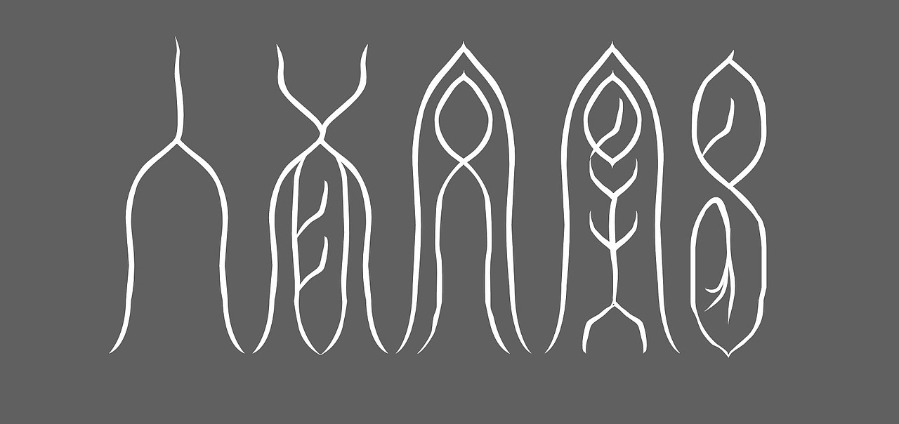 原创幻彩插画人面凤凰鸟