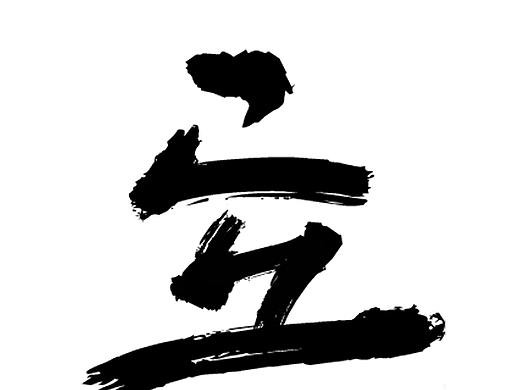 《橘猫,海豚和节气》—字体