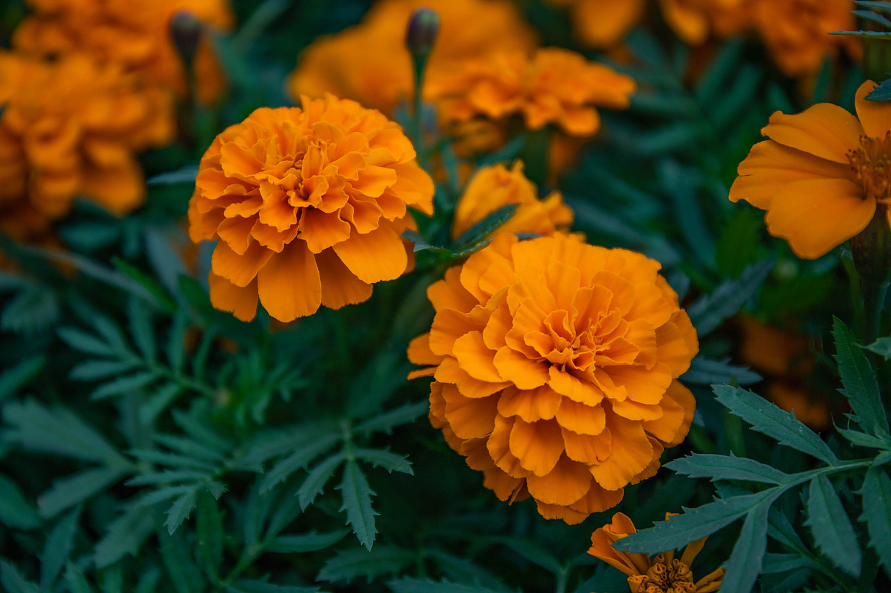 团建风景拍摄（图ZMTQ5NzI0NTA0） - 风光摄影 - 站酷设计师凌乱的猪原创素材 - 站酷ZCOOL