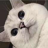小资酒馆的头像